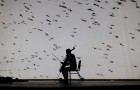 Hofesh Shechter & Antony Gormley's Survivor. © Tom Medwell.