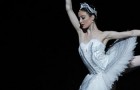 Amber Scott as Odette in Swan Lake.© Jeff Busby. (Click image for larger version)