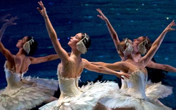 American Ballet Theatre in Swan Lake.© Gene Schiavone. (Click image for larger version)