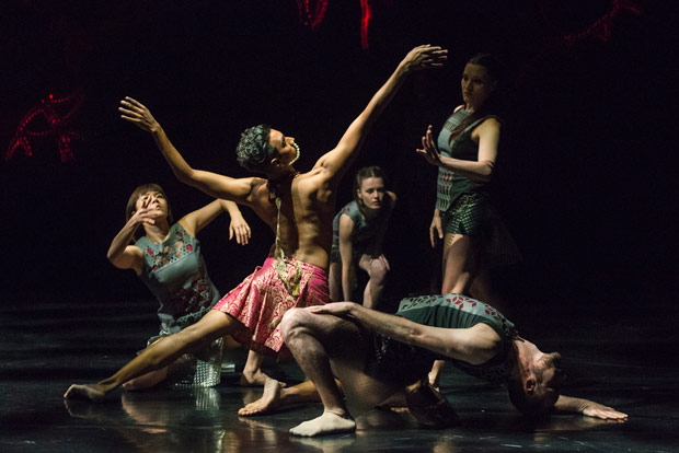 Sunbee Han, Sooraj Subramaniam, Emily Pottage, Avatâra Ayuso and Richard Causer in <I>Bayadere - The Ninth Life</I>.<br />© Foteini Christofilopoulou. (Click image for larger version)