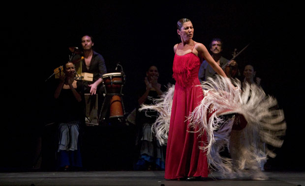 Ballet Flamenco Sara Baras in action.<br />© Peter Muller. (Click image for larger version)