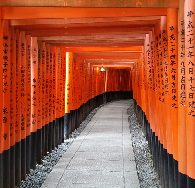 2.5h and kilometers on end of this at Fushimi Inari, Kyoto. Awesome.<br />© Jarkko Lehmus (Click image for larger version)