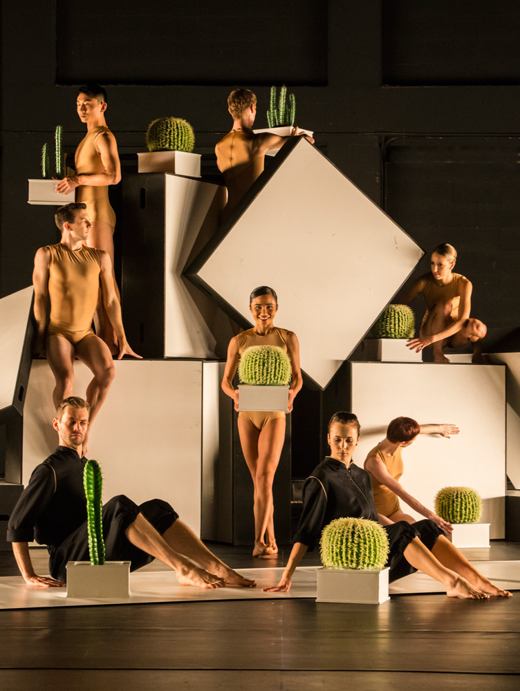 Sydney Dance Company in Cacti.© Peter Greig. (Click image for larger version)