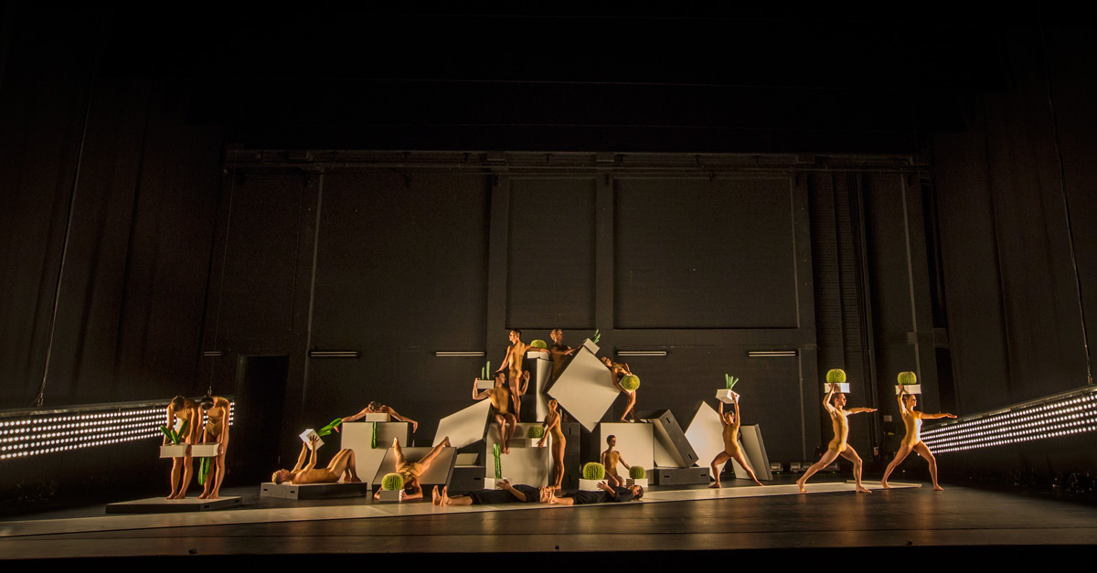 Sydney Dance Company in Cacti.© Peter Greig. (Click image for larger version)
