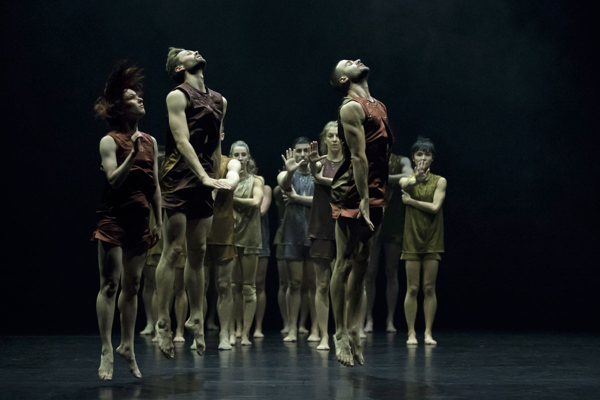 Sydney Dance Company in Wildebeest.© Pedro Greig. (Click image for larger version)