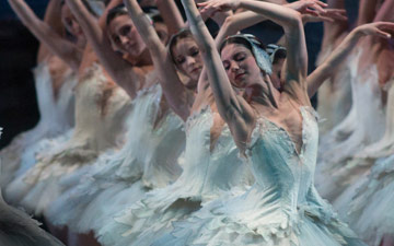 American Ballet Theatre in Swan Lake.© Rosalie O'Connor. (Click image for larger version)
