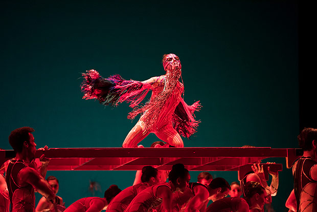 Maria Kochetkova in Pita's <I>Björk Ballet</I>.<br />© Erik Tomasson. (Click image for larger version)