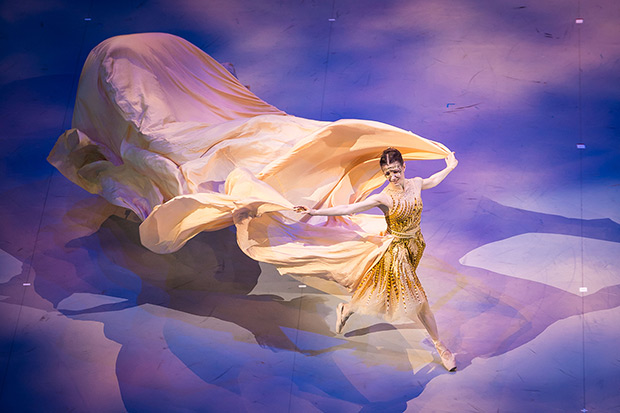 Alina Cojocaru in <I>Cinderella</I>.<br />© Ian Gavan. (Click image for larger version)