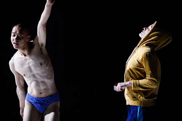 Emanuel Gat Dance in <I>WORKS</I>.<br />© Julia Gat. (Click image for larger version)