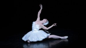 Natalia Osipova in The Dying Swan.© Foteini Christofilopoulou, courtesy the Royal Opera House. (Click image for larger version)