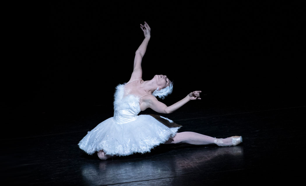 Natalia Osipova in The Dying Swan.© Foteini Christofilopoulou, courtesy the Royal Opera House. (Click image for larger version)