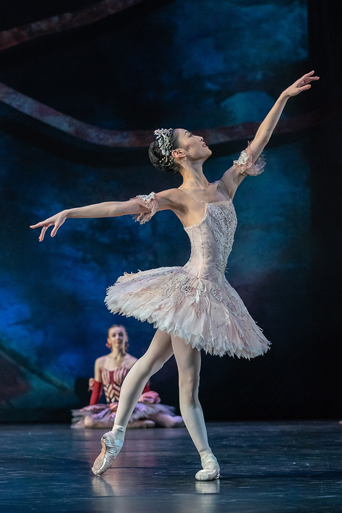 Momoko Hirata in <I>The Nutcracker at The REP</I>.<br />© Johan Persson. (Click image for larger version)
